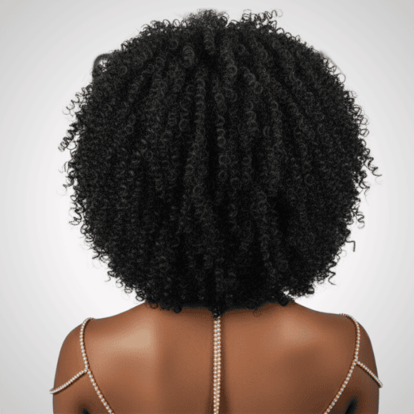 Brazilian Afro Kinky Curly Human Hair Wig