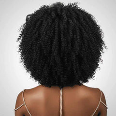 Afro Kinky Curly Wig |13x4 HD|Pre- Everything
